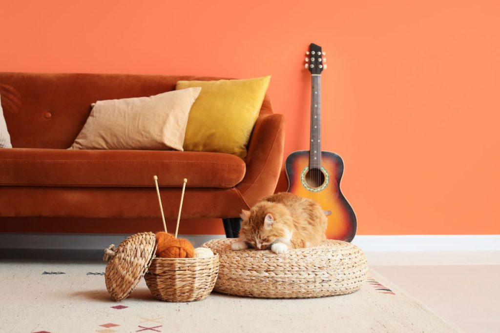 Orangefarbenes Sofa und Wohnzimmer nach der Textilpflege – Oswald Reinigung Stuttgart